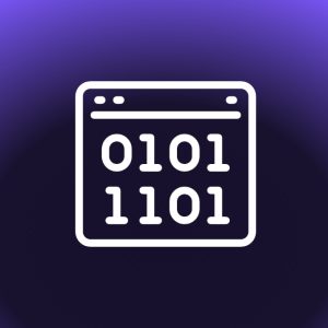 AQA A level (7516-7517) SLR 11 - Binary